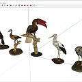 Various Flying Animal Models Including Toucan Duck And Stork On Decorative Stands