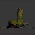 Green Plant Branches With Brown Spots And Gray Stone Placed In The Middle
