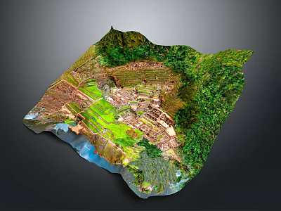 3D Terrain Model With Green Vegetation Terrace Fields And Mountain Structures 3d model