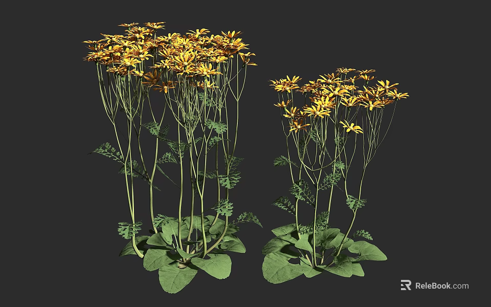 Two Clusters of Vibrant Yellow Flowers with Green Stems and Leaves on Dark Background 3d model 