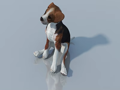 Brown And White Reptile Sitting On Smooth Surface With Reflection 3d model