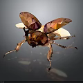 Low Poly Bee with Brown and Gold Color Transparent Wings on Dark Background