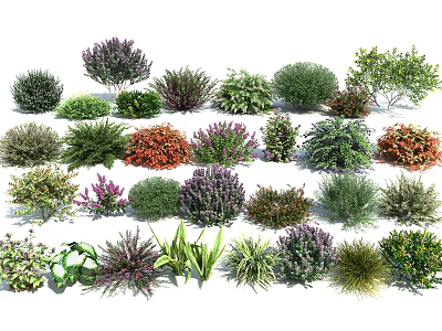 Different Kinds of Colorful Diverse Shrub Varieties for Garden Landscaping Projects 3d model