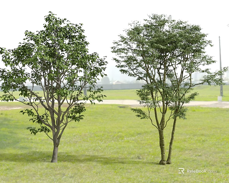 Two Tall Green Trees Growing In Lush Grass Field With Distant View 3d model 