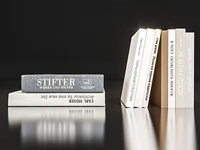 Stacked Books With Stifter Heritage Policy And Cities Titles On Dark Light Spines 3d model
