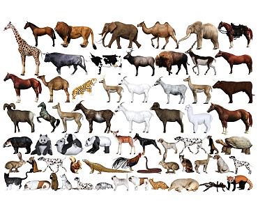 animal cattle sheep horse cat dog chicken elephant panda lion rabbit deer tiger camel 3d model