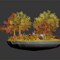 Autumn Trees with Yellow and Orange Leaves and Small Mushrooms on Fallen Leaves Ground