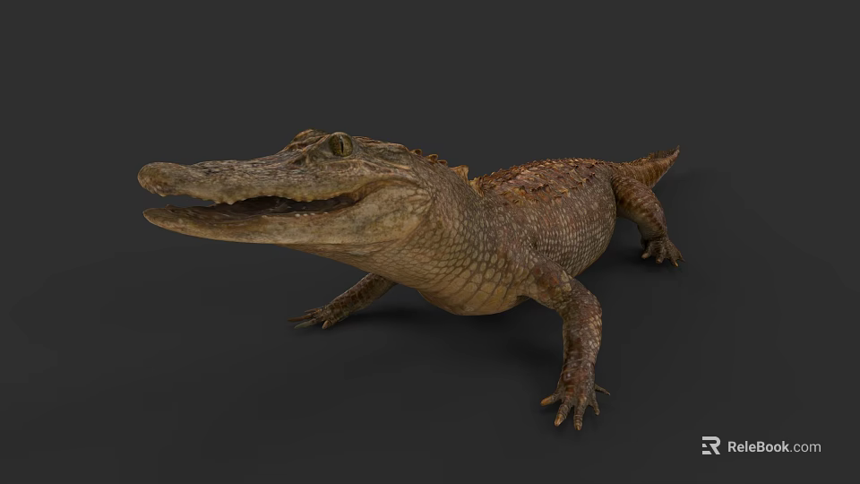 Realistic Crocodile Reptile With Open Mouth And Scaly Skin Resting On Dark Surface 3d model 