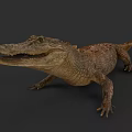 Realistic Crocodile Reptile With Open Mouth And Scaly Skin Resting On Dark Surface