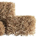 Well Trimmed Square Shaped Landscape Shrubs With Green And Brown Decorative Balls