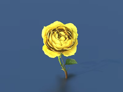 Beautiful Yellow Rose Blooming with Green Leaves on Dark Blue Background 3d model