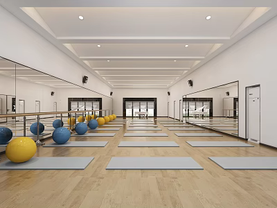 Spacious Fitness Studio With Neatly Arranged Yoga Mats Colorful Exercise Balls And Large Mirrors 3d model