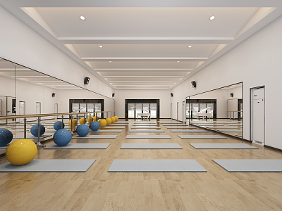 Modern Yoga Room 3d model