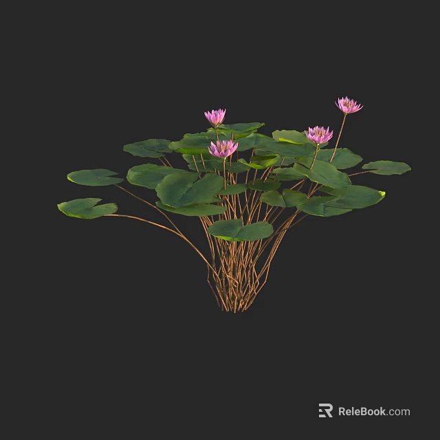 Pink Water Lilies with Green Lily Pads and Brown Stems in Bloom 3d model 