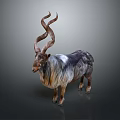 Wild Goat With Large Curved Horns And Long Shaggy Black White Fur
