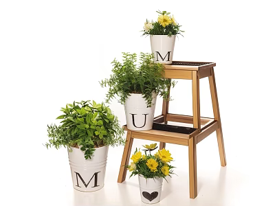 Potted Green Plants and Yellow Flowers in White Pots on Wooden Ladder Stand White Background 3d model