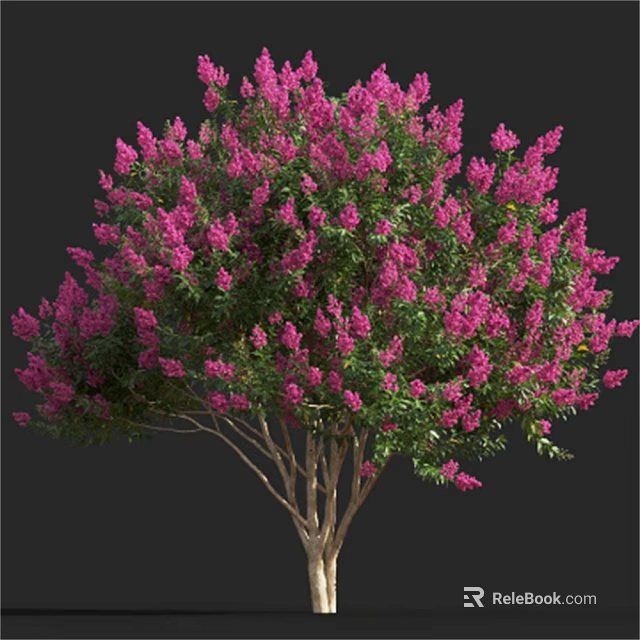 Lush Pink Flowering Tree With Abundant Blooms And Vibrant Green Leaves 3d model 