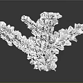 Detailed White Coral Like Aquatic Animal Structure On Black Reflective Surface 3d model