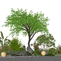 Natural Plant Combination With Large Tree Various Plants Stones And Glowing Spherical Lights