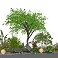 Modern courtyard plant combination modeling landscape tree stone shrub green plant 3d model