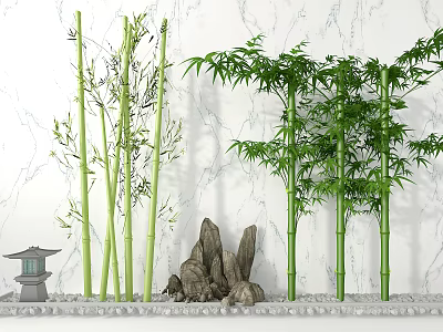 Lush Bamboo Grove with Stacked Rocks Small Pavilion and Light Marble Wall Background 3d model