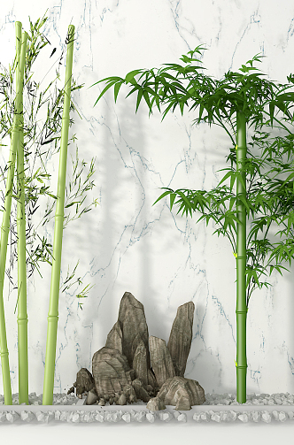 New Chinese Bamboo 3d model