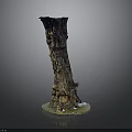 Small Plants And Moss Growing On Tree Stump Base With Natural Texture And Greenery