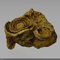 Wooden Stone With Natural Spiral Texture And Yellow Organic Decorative Shape