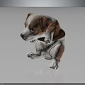 Cute Brown And White Puppy Holding Wooden Stick On Smooth Reflective Surface