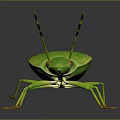 Green Bug With Red Eyes And Yellow Antennae On Gray Background 3d model