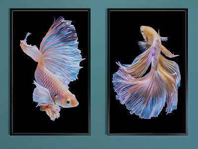 Colorful Betta Fish Animal Paintings With Flowing Fins On Black Background 3d model