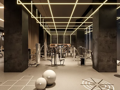 Modern Gym Interior With Fitness Equipment And Balls 3d model