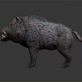 Wild Boar Sculpture With Rough Texture Open Mouth And Visible Teeth