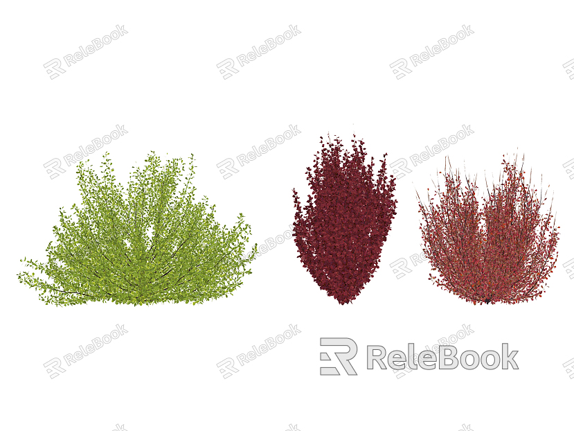 Modern shrub Japanese barberry model