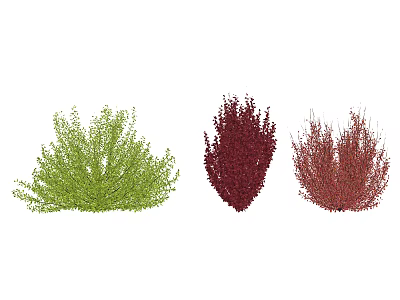 Green Red and Burgundy Shrubs Different Colored Varieties for Garden Landscaping 3d model