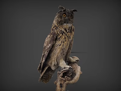 Eagle Owl Perched On Gnarled Branch With Detailed Feathers And Dark Background 3d model