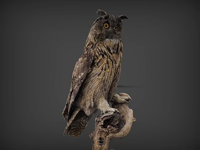 Owl An owl standing on a tree 3d model