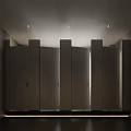 Modern Minimalist Public Bathroom With Dark Full Height Partition Stalls And Recessed Ceiling Lights