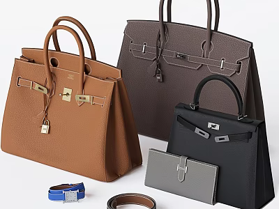 Luxury Classic Handbags In Brown Dark Brown Black With Metal Buckles Lock Wallet And Belts 3d model