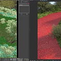 Beautiful Flowers and Plants Along Red Path in Green Grassy Landscape With Trees