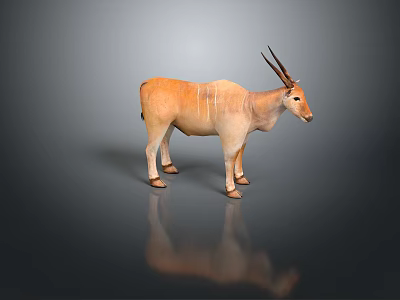 Realistic 3D Eland Antelope Model With Brown Coat White Stripes And Long Horns 3d model