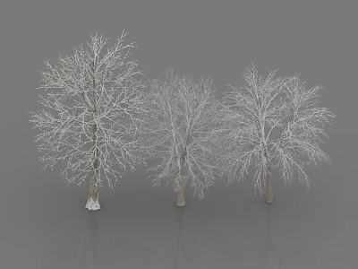 Three Snow Covered Leafless Trees with Brown Trunks Against Gray Background 3d model