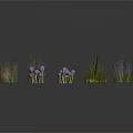 Colorful Decorative Plants For Home Decoration Including Green Grass And Purple Flowers