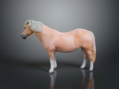 Light Brown Horse With White Mane And Tail Standing On Dark Background With Reflection 3d model