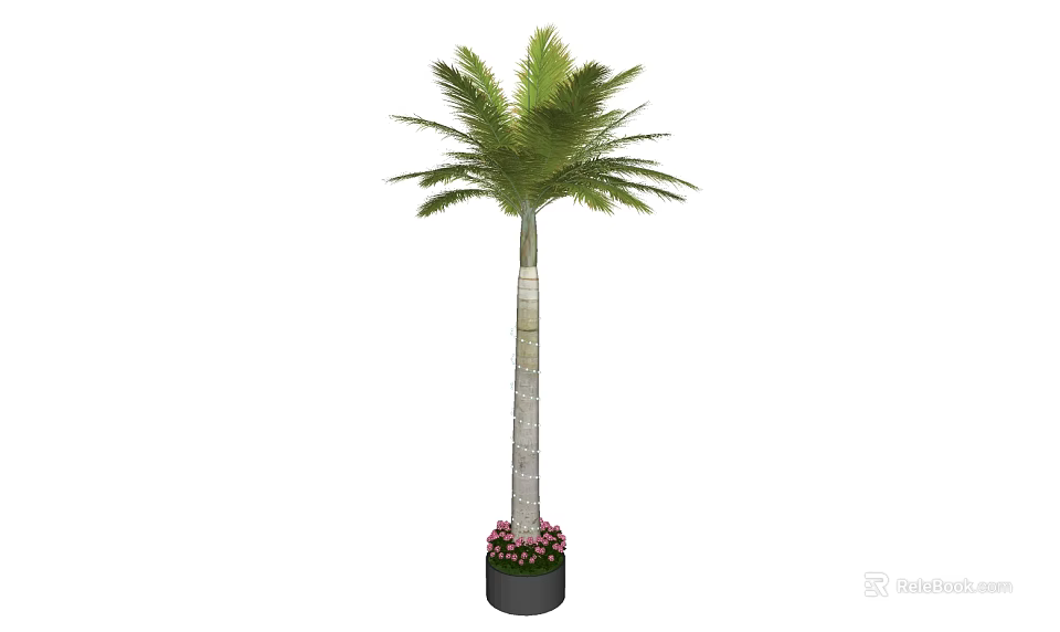 Tall Palm Tree with White Trunk in Black Pot Surrounded by Pink Flowers 3d model 
