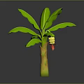 3D Rendered Banana Plant With Green Leaves Yellow Trunk And Small Red Fruit