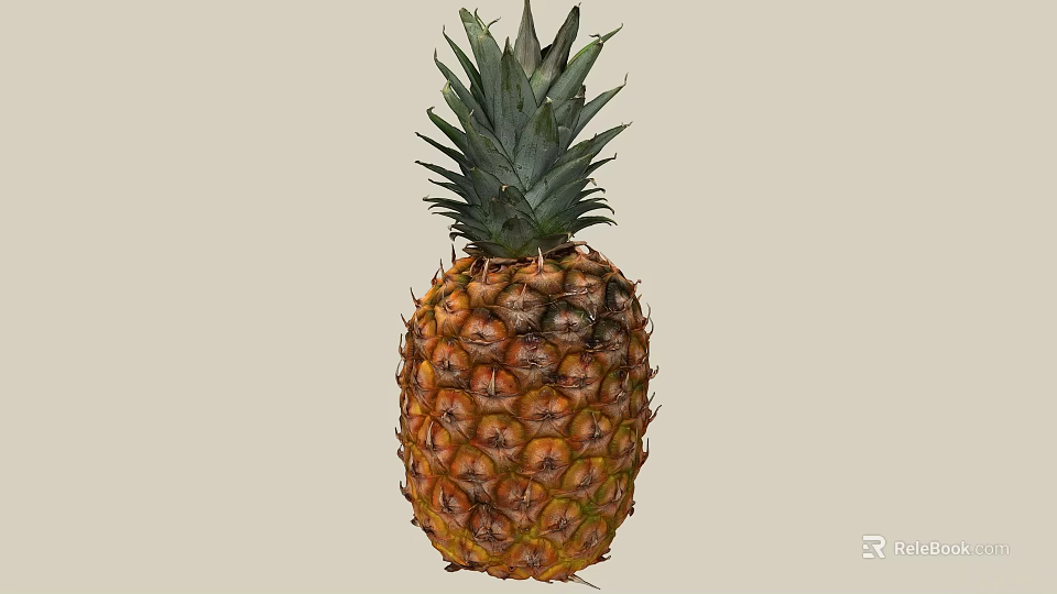 Fresh Ripe Pineapple With Green Leafy Crown And Golden Brown Textured Skin 3d model 