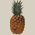 Fresh Ripe Pineapple With Green Leafy Crown And Golden Brown Textured Skin