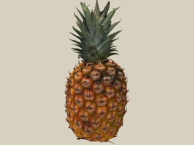 Fresh Ripe Pineapple With Green Leafy Crown And Golden Brown Textured Skin 3d model