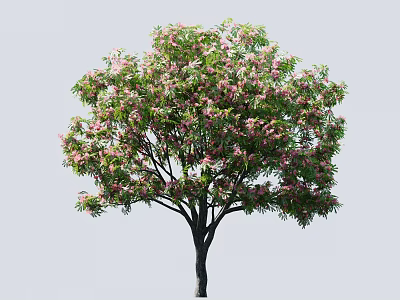 Vibrant Blooming Tree With Lush Green Leaves Pink Flowers And Sturdy Trunk 3d model